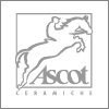 Ascot Ascot